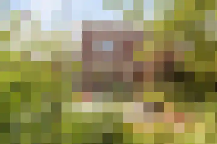 Donk 31 Kampen thumbnail 38