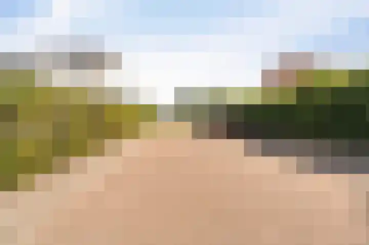 Donk 31 Kampen thumbnail 59
