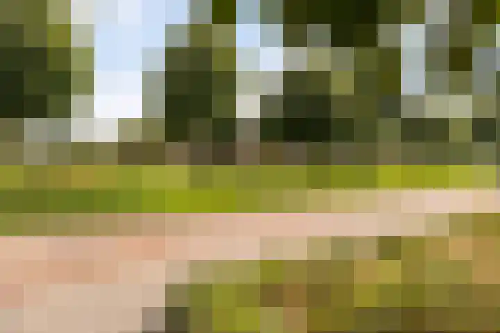 Donk 31 Kampen thumbnail 61