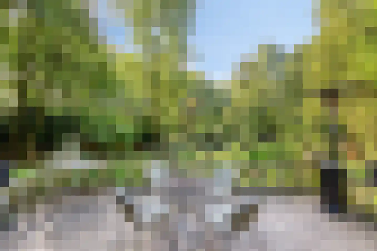 Donk 4 Kessel thumbnail 53