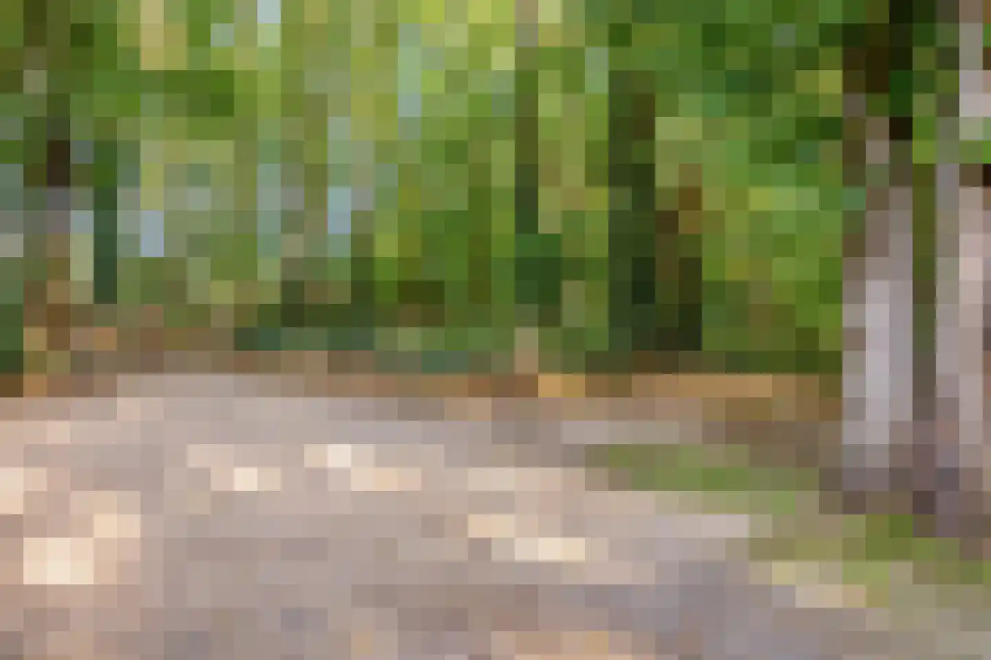 Donk 4 Kessel thumbnail 6