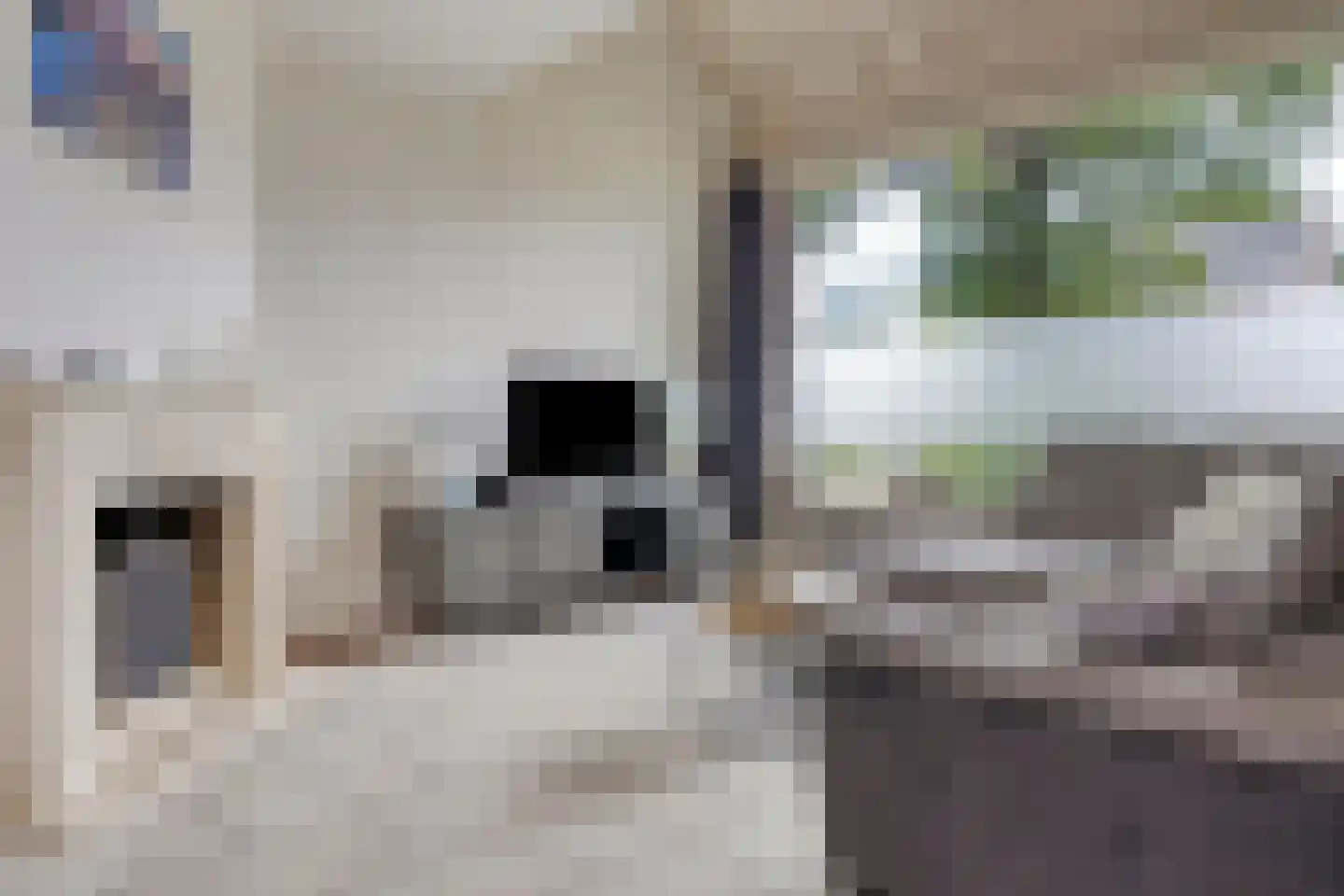 Donk 59 Dongen thumbnail 10