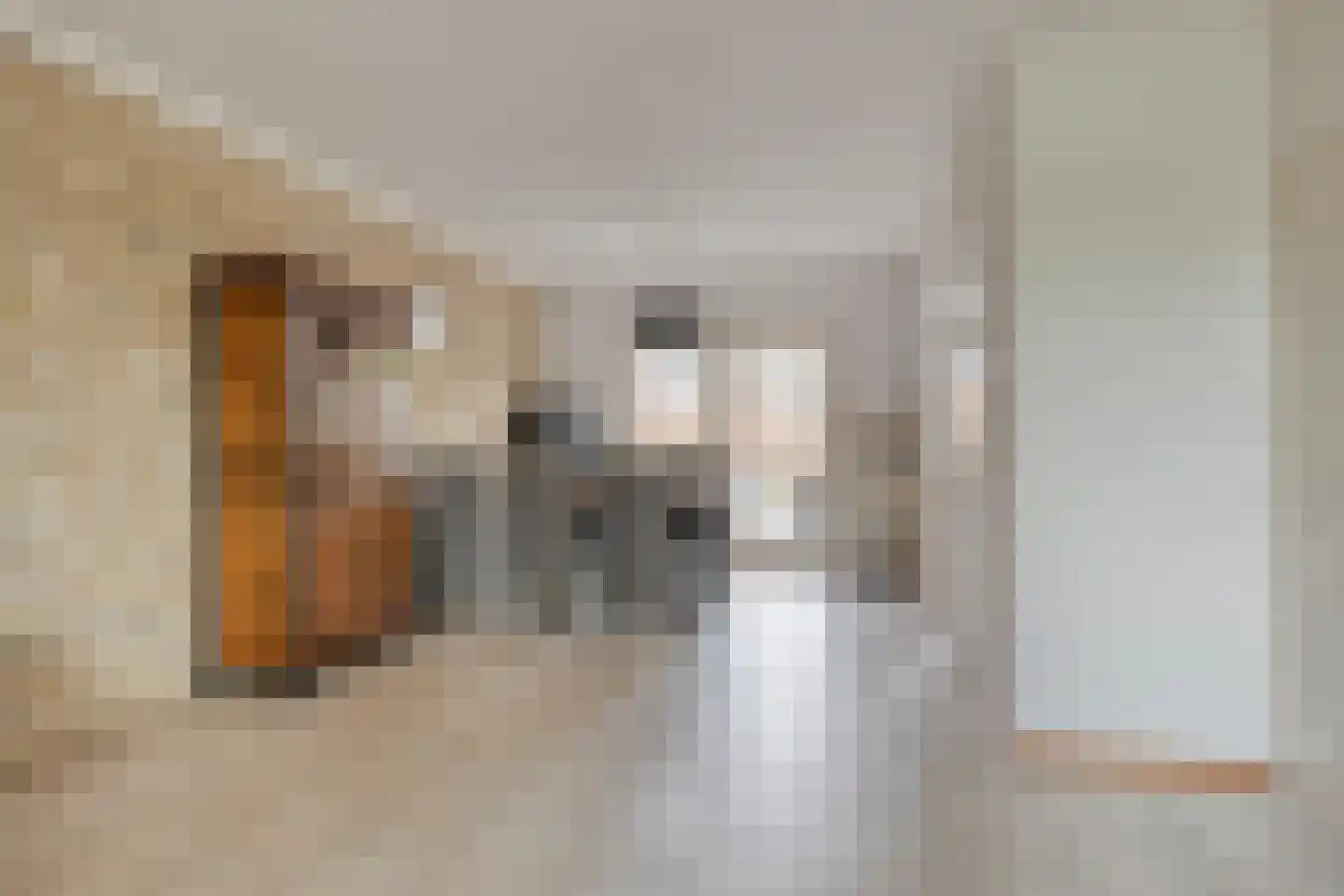 Donk 59 Dongen thumbnail 13