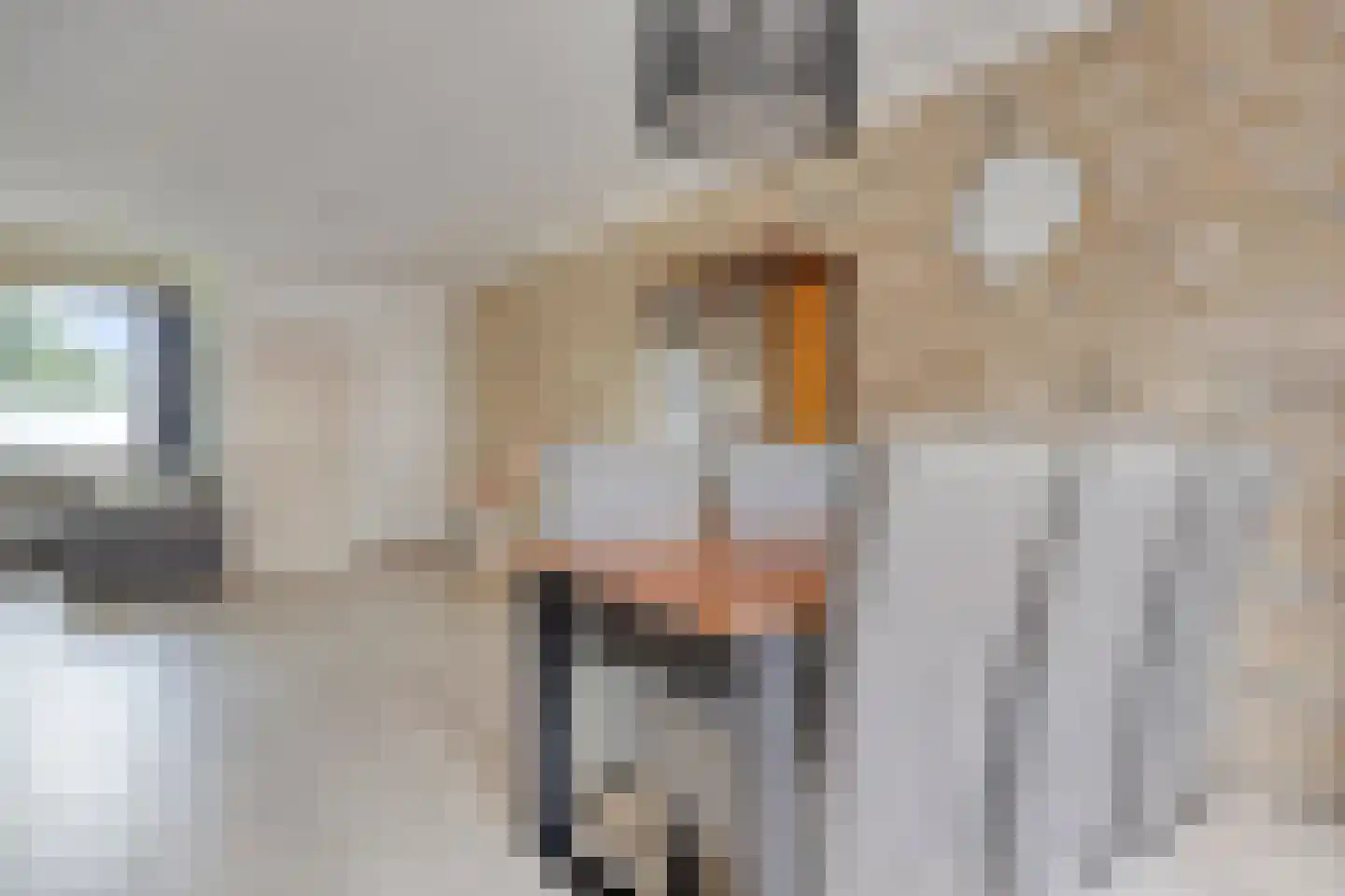 Donk 59 Dongen thumbnail 15