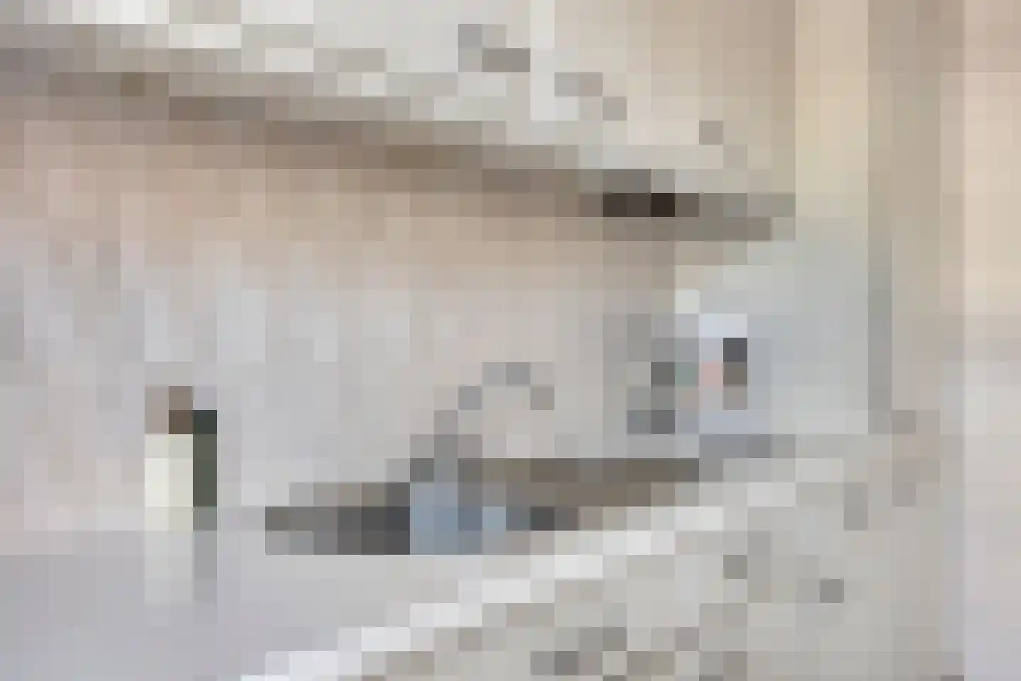 Donk 59 Dongen thumbnail 17