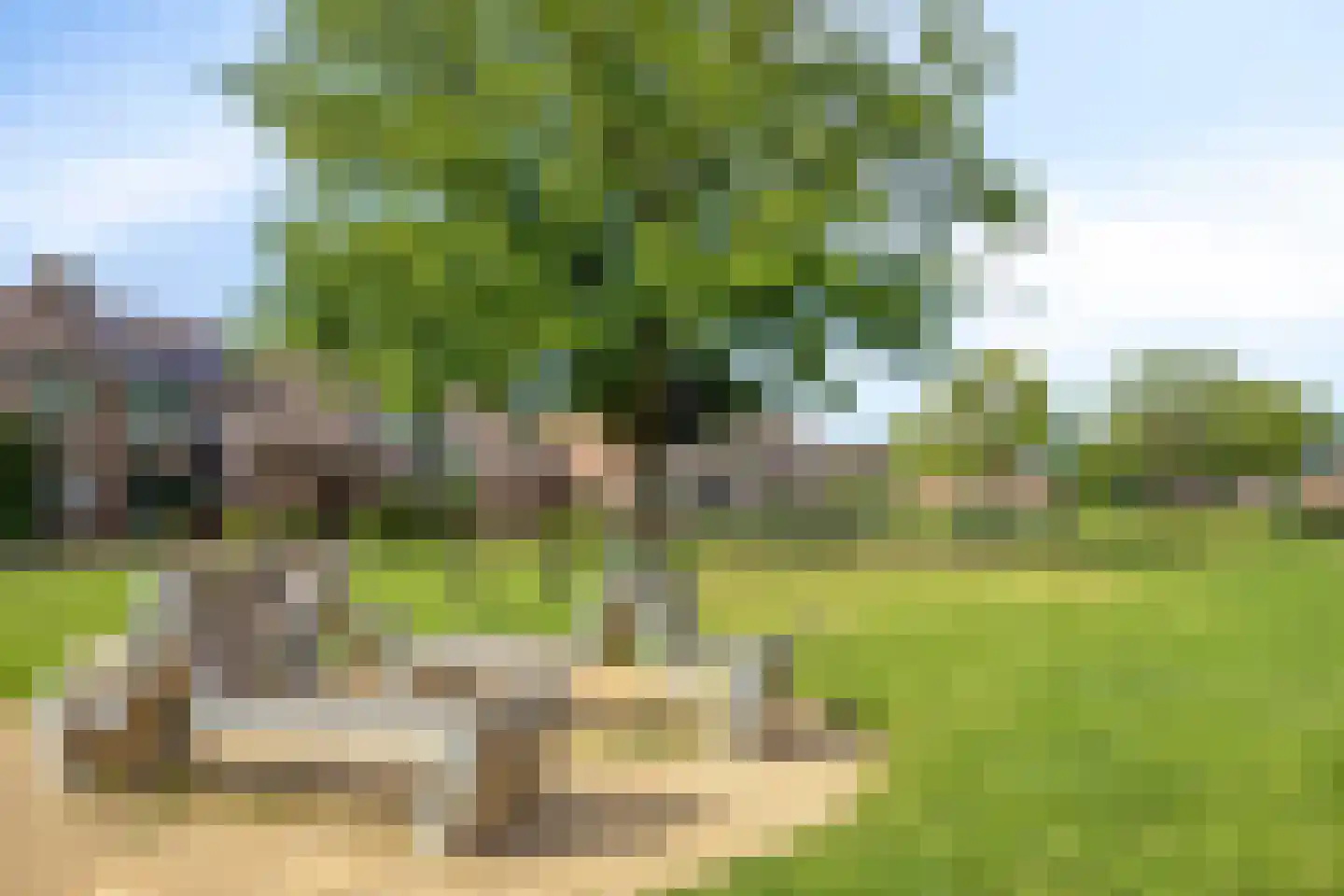 Donk 59 Dongen thumbnail 31