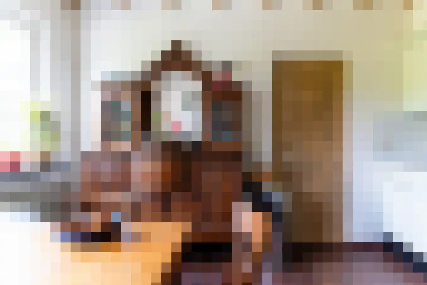 Donkbeemd 29 Lage Mierde thumbnail 19