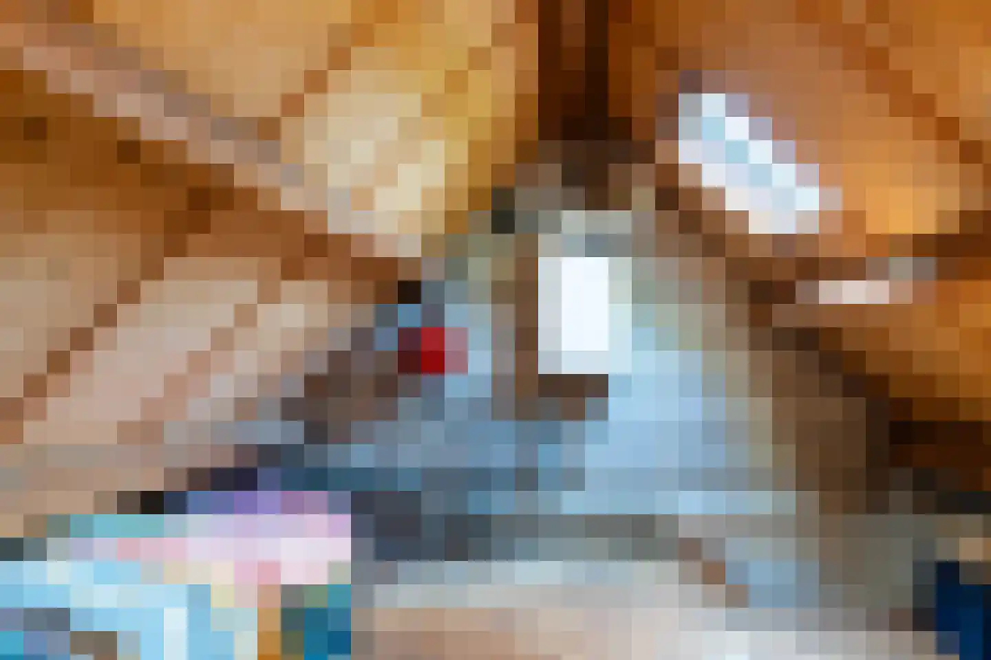Donkbeemd 29 Lage Mierde thumbnail 26