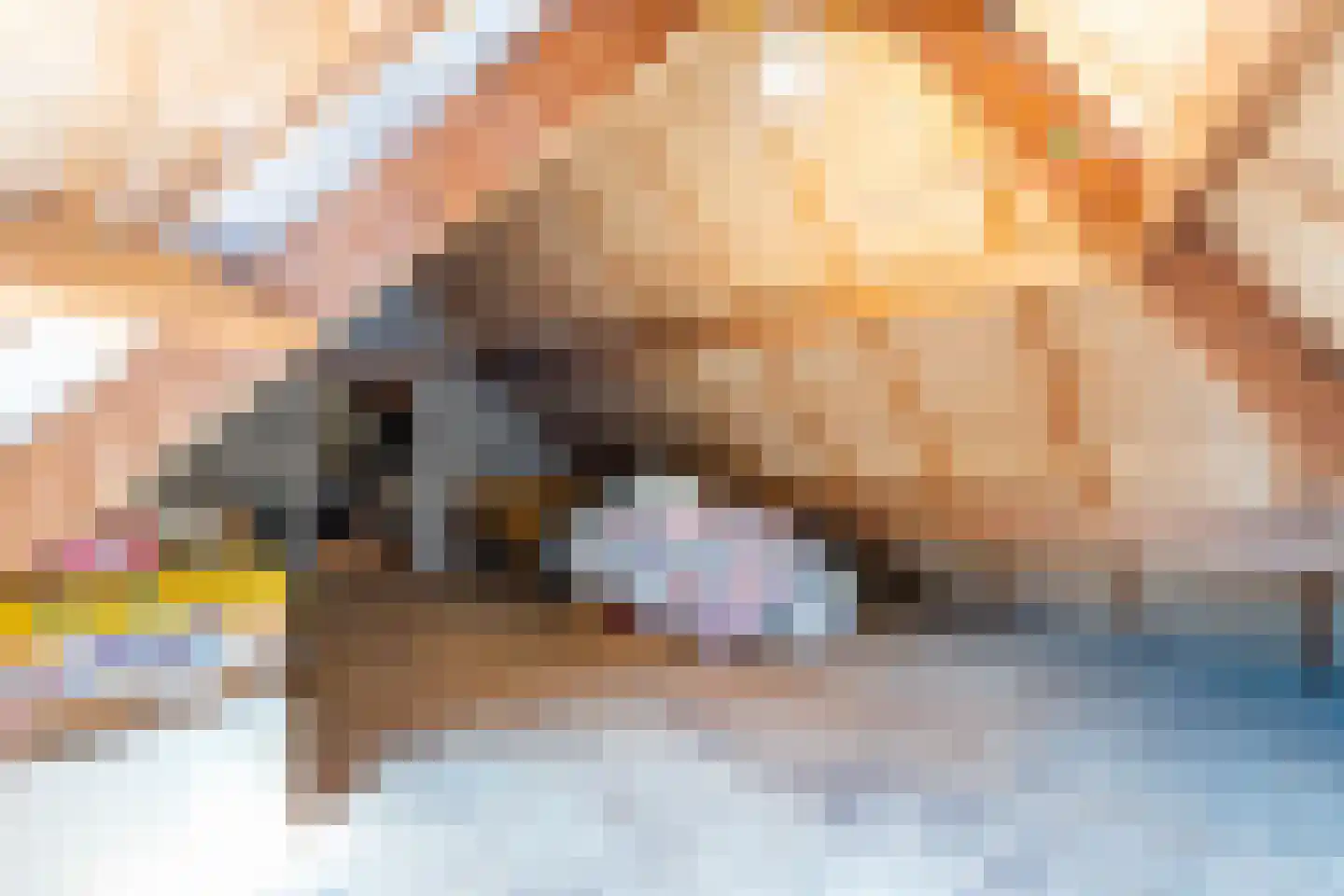 Donkbeemd 29 Lage Mierde thumbnail 27