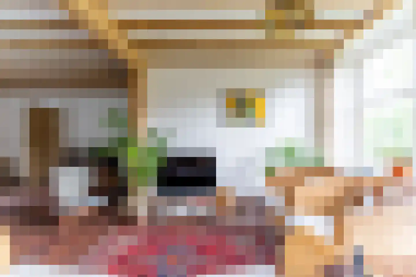 Donkbeemd 29 Lage Mierde foto 3