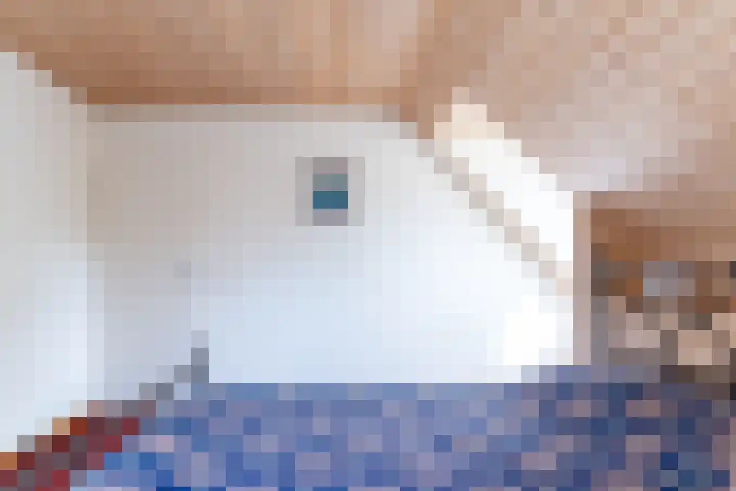Donkbeemd 29 Lage Mierde thumbnail 33