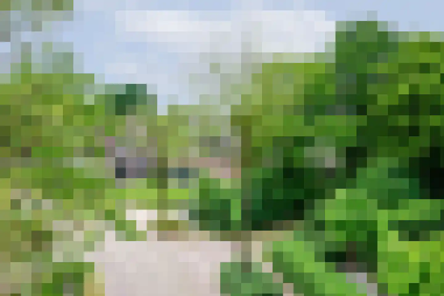 Donkbeemd 29 Lage Mierde thumbnail 59