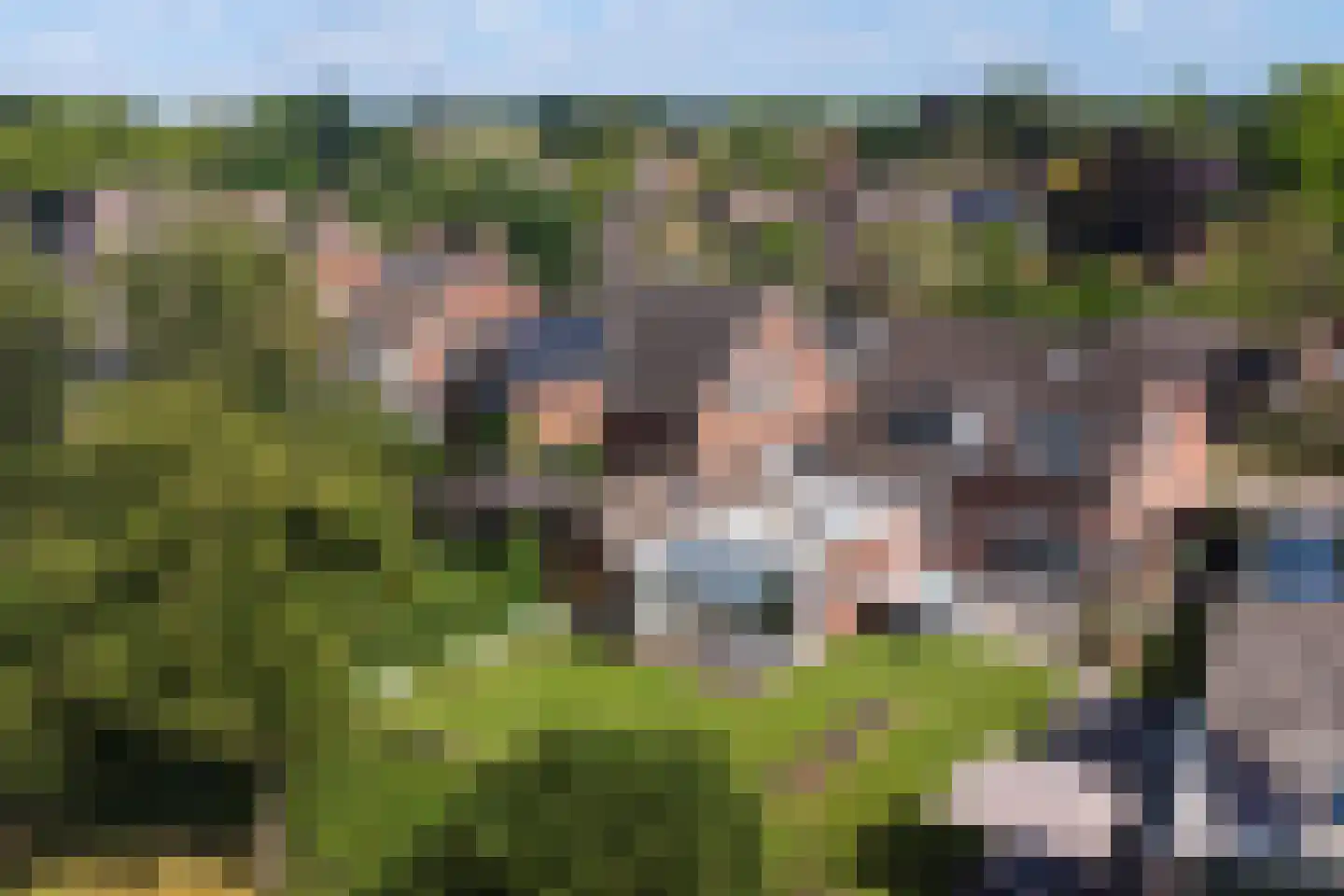 Donkbeemd 33 Lage Mierde