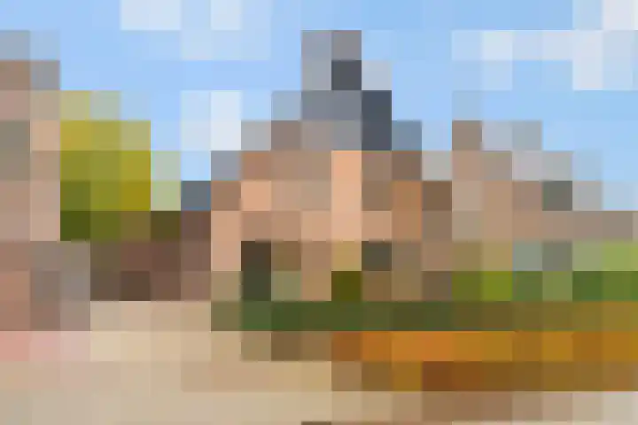 Donkbeemd 41 en Lage Mierde