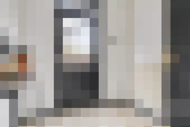Donkbeemd 41 Lage Mierde thumbnail 11