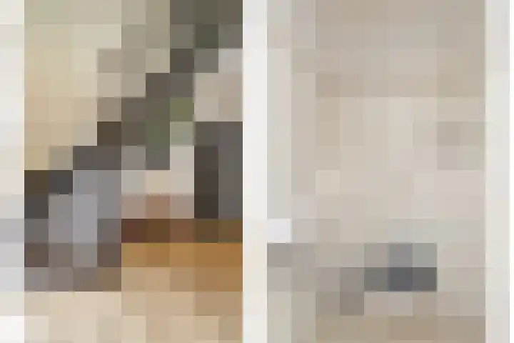Donkbeemd 41 Lage Mierde thumbnail 14
