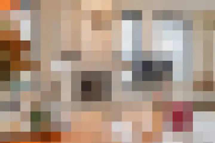 Donkbeemd 41 Lage Mierde foto 2