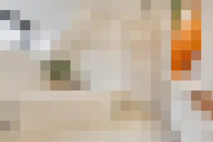 Donkbeemd 41 Lage Mierde thumbnail 24