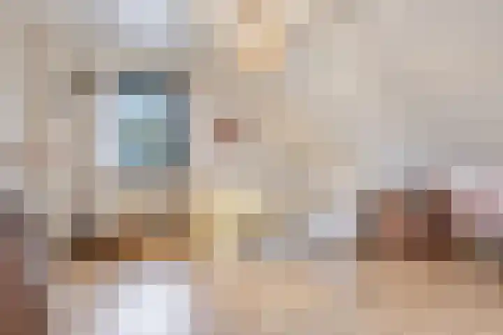 Donkbeemd 41 Lage Mierde thumbnail 26