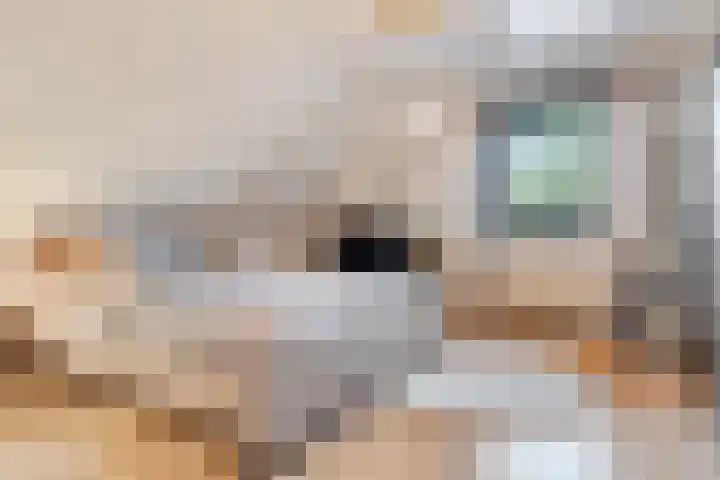 Donkbeemd 41 Lage Mierde thumbnail 28