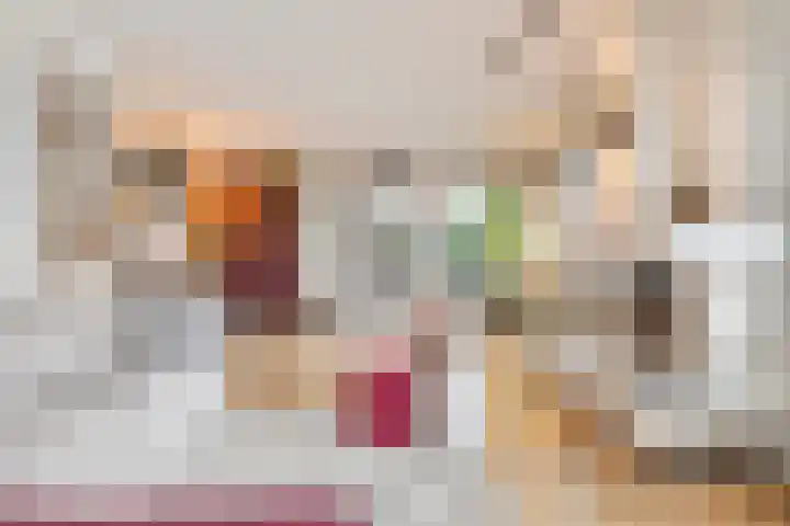 Donkbeemd 41 Lage Mierde foto 3