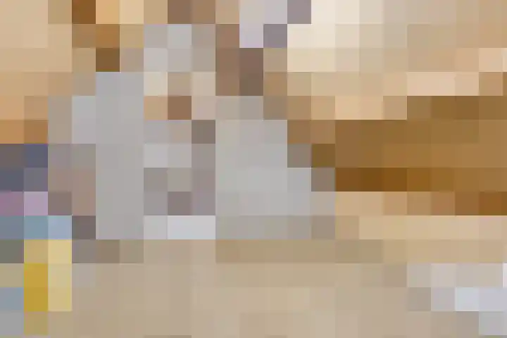 Donkbeemd 41 Lage Mierde thumbnail 31