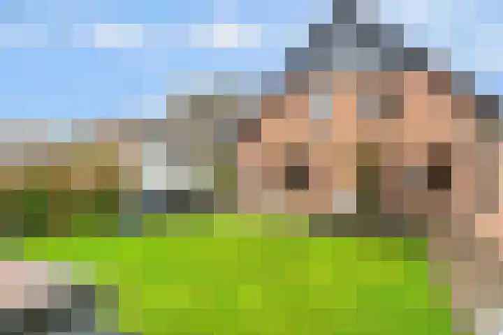 Donkbeemd 41 Lage Mierde thumbnail 35