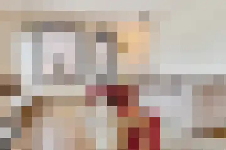Donkbeemd 41 Lage Mierde thumbnail 4