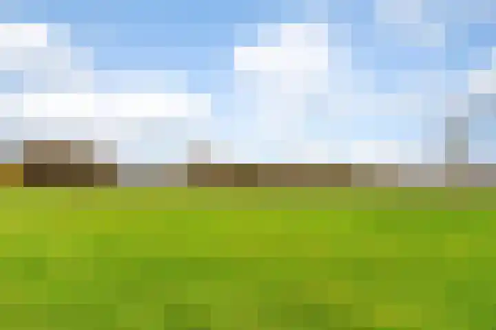 Donkbeemd 41 Lage Mierde thumbnail 43
