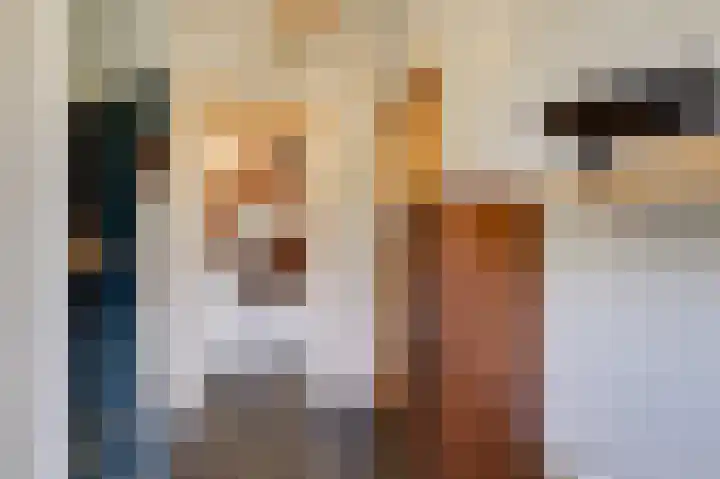 Donker Curtiuslaan 11 Doetinchem thumbnail 13
