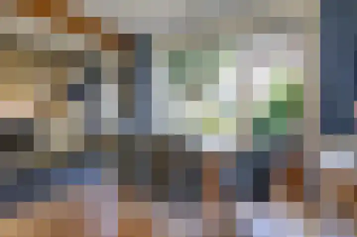 Donker Curtiuslaan 11 Doetinchem thumbnail 19