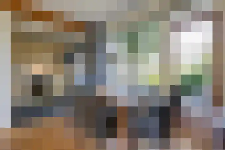 Donker Curtiuslaan 11 Doetinchem thumbnail 20