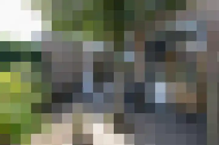Donker Curtiuslaan 11 Doetinchem thumbnail 24