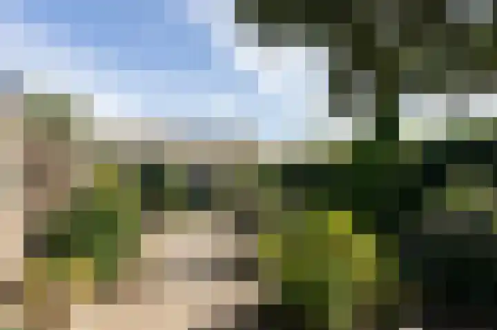 Donker Curtiuslaan 11 Doetinchem thumbnail 25