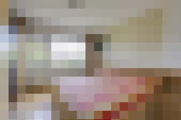 Donker Curtiuslaan 11 Doetinchem thumbnail 32