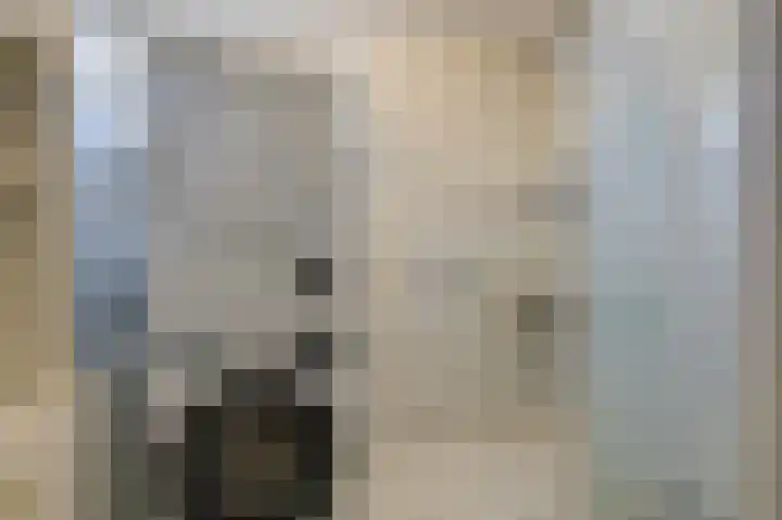 Donker Curtiuslaan 11 Doetinchem thumbnail 38