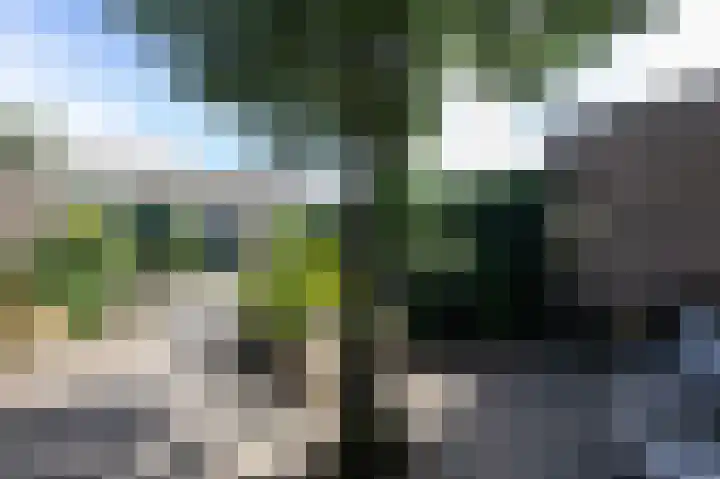 Donker Curtiuslaan 11 Doetinchem thumbnail 4