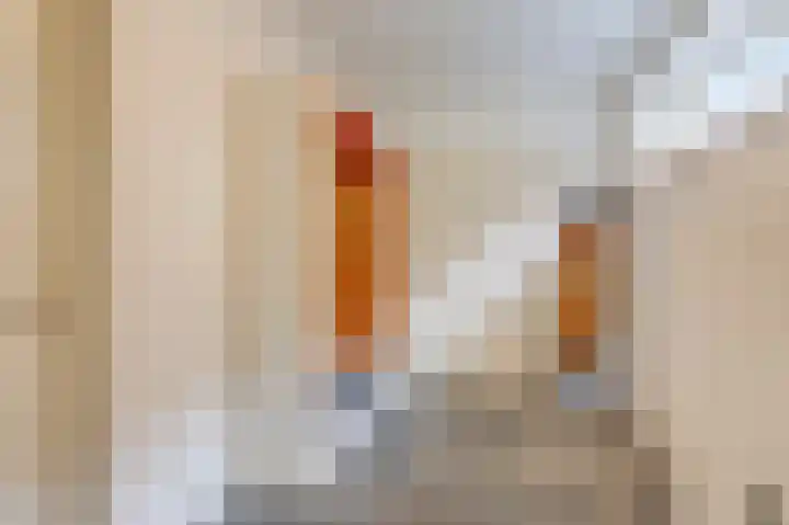 Donker Curtiuslaan 18 Doetinchem thumbnail 20