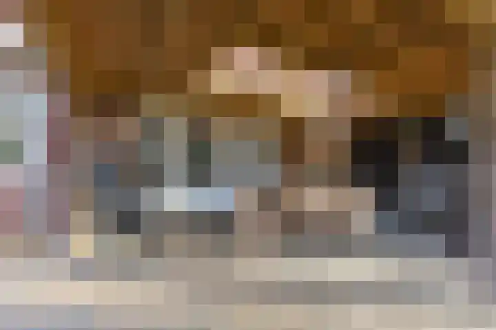Donker Curtiuslaan 18 Doetinchem thumbnail 24