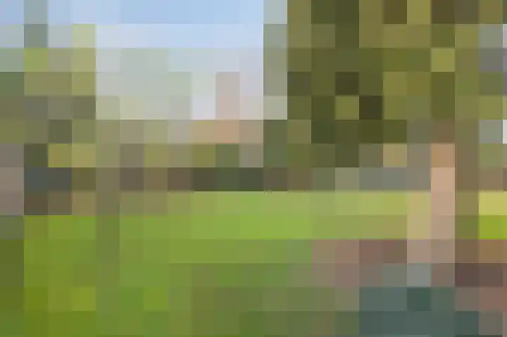Donker Curtiuslaan 18 Doetinchem thumbnail 26
