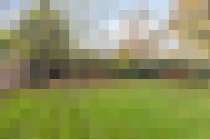 Donker Curtiuslaan 18 Doetinchem thumbnail 27