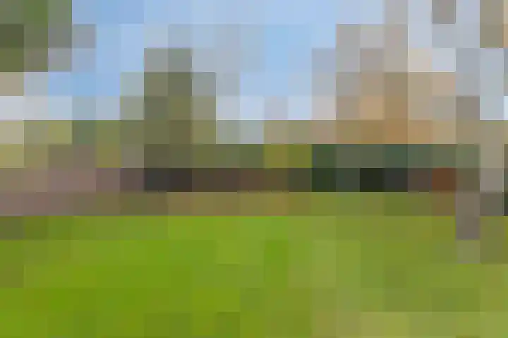 Donker Curtiuslaan 18 Doetinchem thumbnail 28