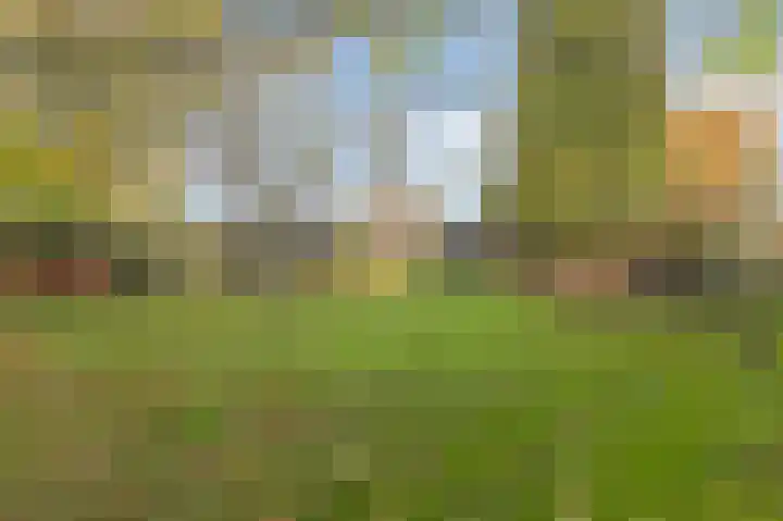 Donker Curtiuslaan 18 Doetinchem thumbnail 29