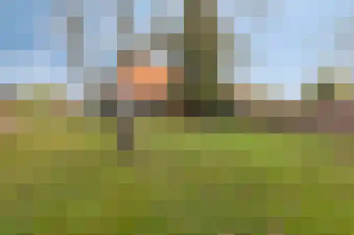 Donker Curtiuslaan 18 Doetinchem thumbnail 31