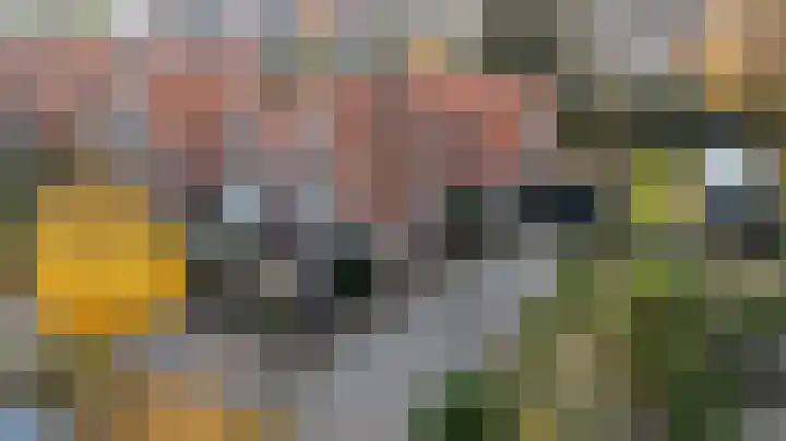 Donker Curtiuslaan 18 Doetinchem thumbnail 38
