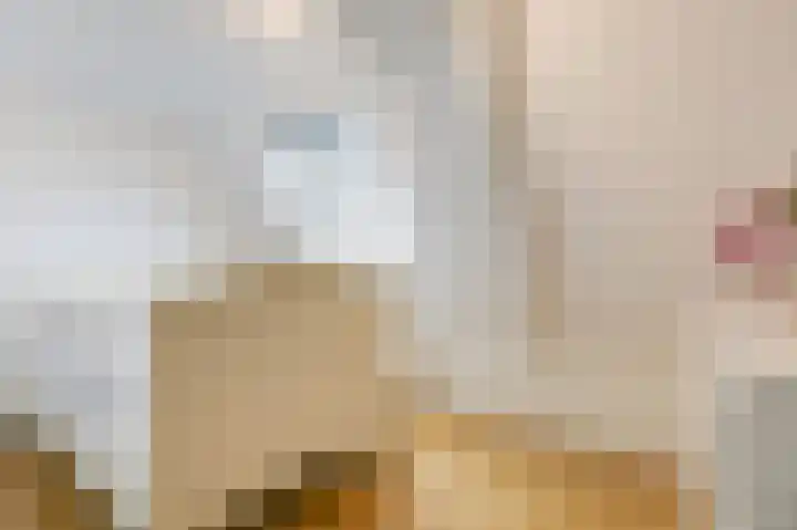 Donker Curtiuslaan 18 Doetinchem thumbnail 43