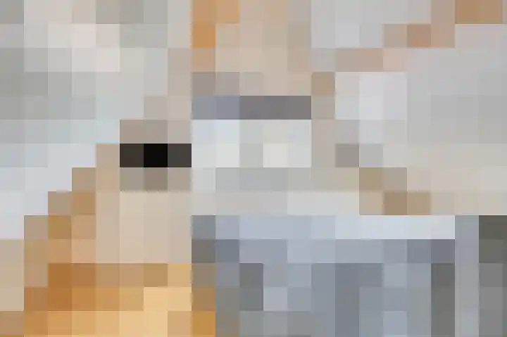 Donker Curtiuslaan 18 Doetinchem thumbnail 46