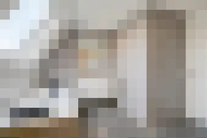Donker Curtiuslaan 18 Doetinchem thumbnail 50