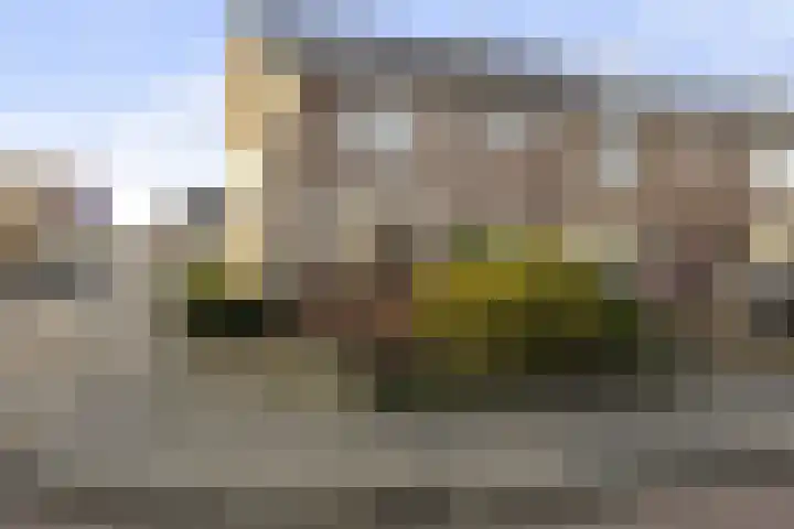 Donker Curtiusstraat 1 in Meppel