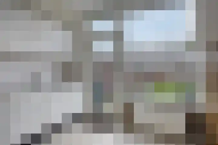 Donker Curtiusstraat 15 Wassenaar thumbnail 12